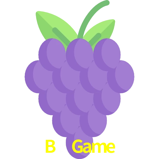 B5 Game