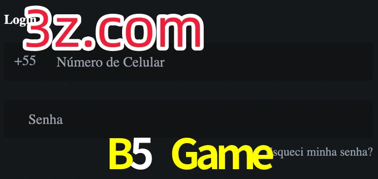 B5 Game
