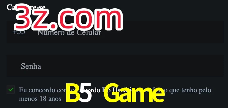 B5 Game